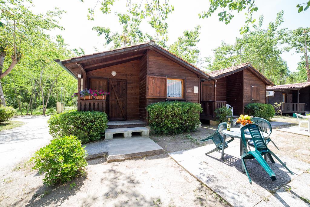 Camping Dei Tigli 托雷德尔格拉戈普奇 客房 照片